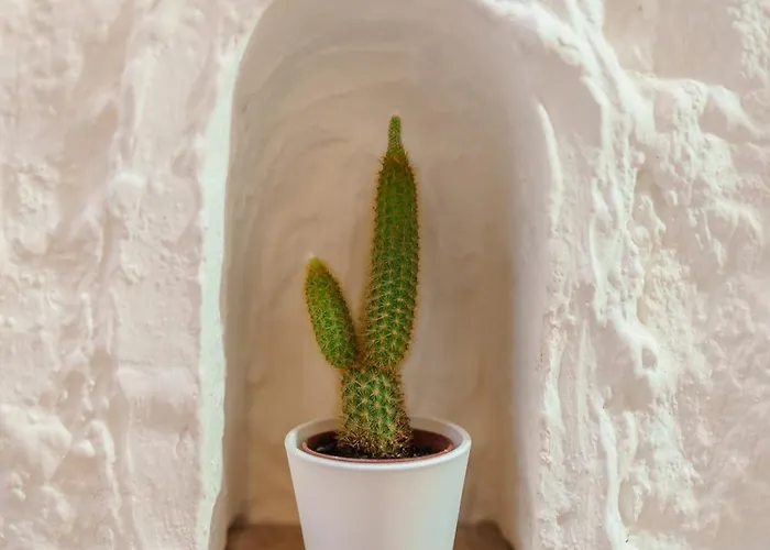 Appartement La Storia